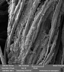Esta imagem de microscopia eletrônica de varredura (MEV) amplifica uma das “linhas eletrônicas” desenvolvidas neste trabalho, composta por algodão revestido com nanotubos de carbono e com polipirrol obtido por polimerização interfacial. 