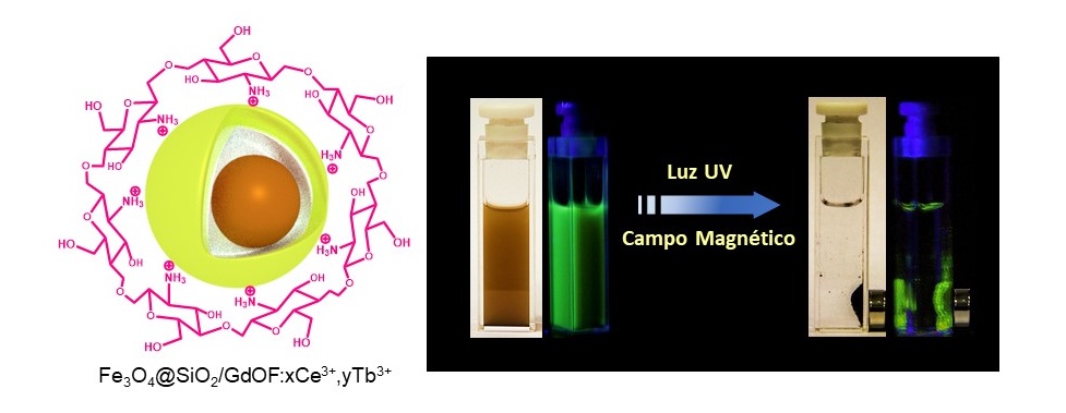 À esquerda, ilustração esquemática de uma das nanoplataformas, mostrando seu núcleo. À direita, solução com nanoplataformas sob efeito de um campo magnético (concentradas próximo dos ímãs) e irradiada com luz UV (gerando a emissão de luz verde).