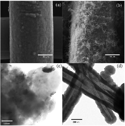 Imagens de microscopia eletrônica mostram os materiais desenvolvidos para o biossensor: polipirrol granulado (esquerda) e nanotubular (direita) com nanopartículas de ouro.