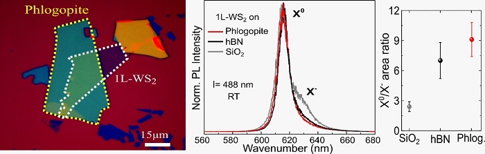 Optical microscopy image of a van der Waals heterostructure containing a monolayer of tungsten disulfide over a few layers of phlogopite. Analysis of optical properties of 2D heterostructures.